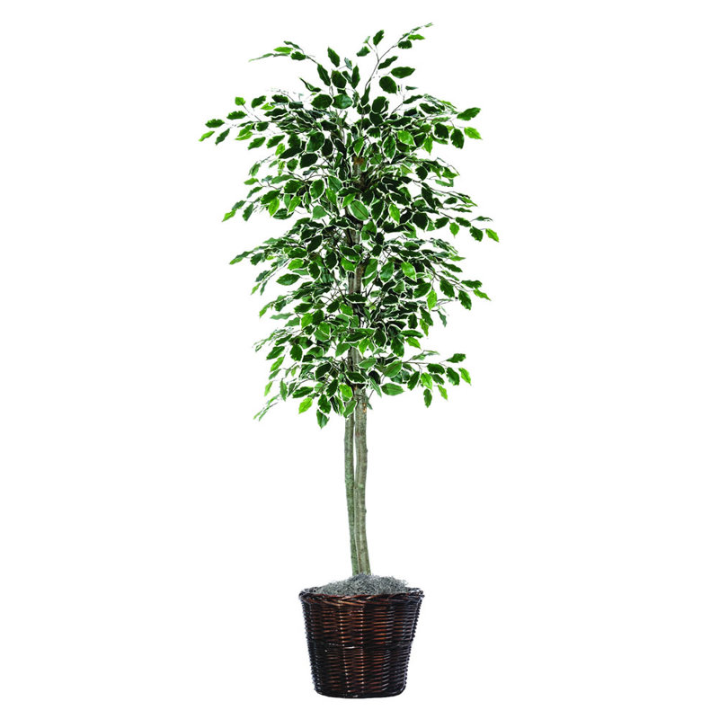 Economy Artificial Potted Natural Variegated Ficus Tree in Basket